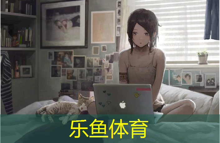 乐鱼体育,男子体操缓冲垫