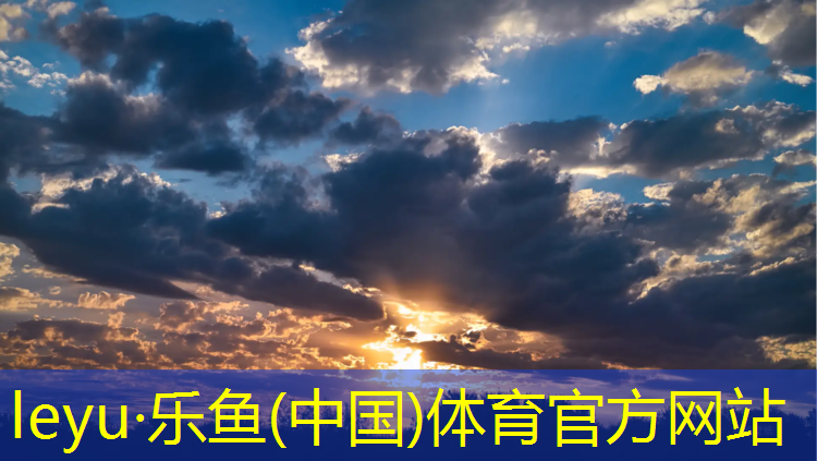 网球网的材料