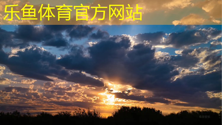 辽阳学校塑胶跑道报价
